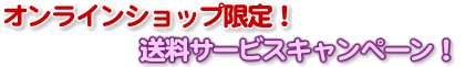�����T�[�r�X�L�����y�[���I